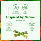 SVA Citronella pour peau: application diluée lors d’un massage corporel nourrissant.