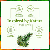 Diffuseur aromathérapie en action avec sapin balsam SVA Organics.