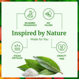 Huile camphore SVA ORGANICS – soin capillaire après dilution.