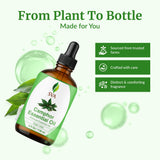Diffusion camphre SVA ORGANICS – ambiance vivifiante.