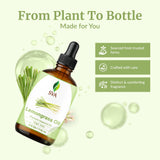 SVA Organics huile citronnelle pour cheveux — massage du cuir chevelu diluée.