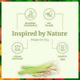 SVA Organics huile citronnelle pour soin de peau — intégration beauté quotidienne.