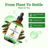 SVA Organic Huile Marula – cuir chevelu sain et confort après application.