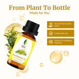 SVA ORGANICS Rue – soin-cheveux: favorise le cuir chevelu après dilution.