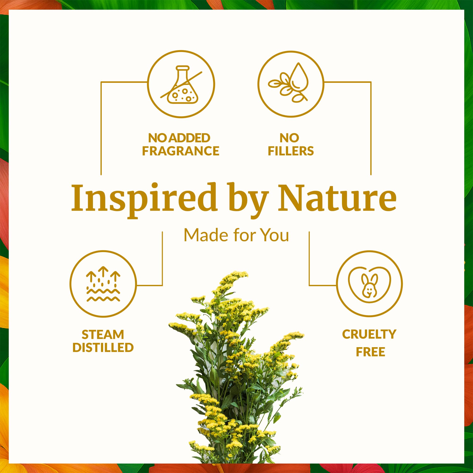 SVA ORGANICS Rue – soin-peau: utile pour nourrir et hydrater la peau.