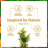 SVA ORGANICS Rue – soin-peau: utile pour nourrir et hydrater la peau.