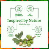 Tamanu Oil SVA ORGANICS pratique lors d’un massage corporel pour nourrir la peau.
