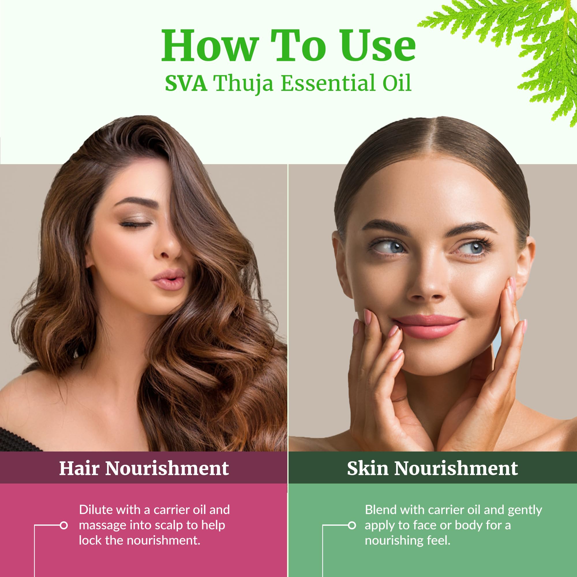 SVA Thuja savon-cosmetique: ingrédient naturel pour savon maison.