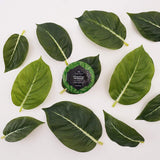 Svasthya Eucalyptus Vapor Rub, pot baume, hydratation durable et confort respiratoire.