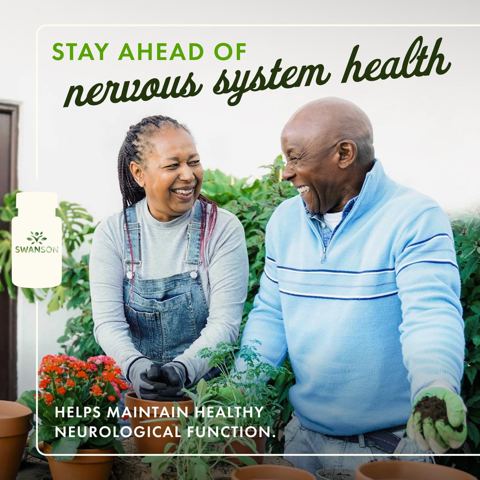 Swanson Acétyl-L-Carnitine pack deux: solution pratique pour la routine.