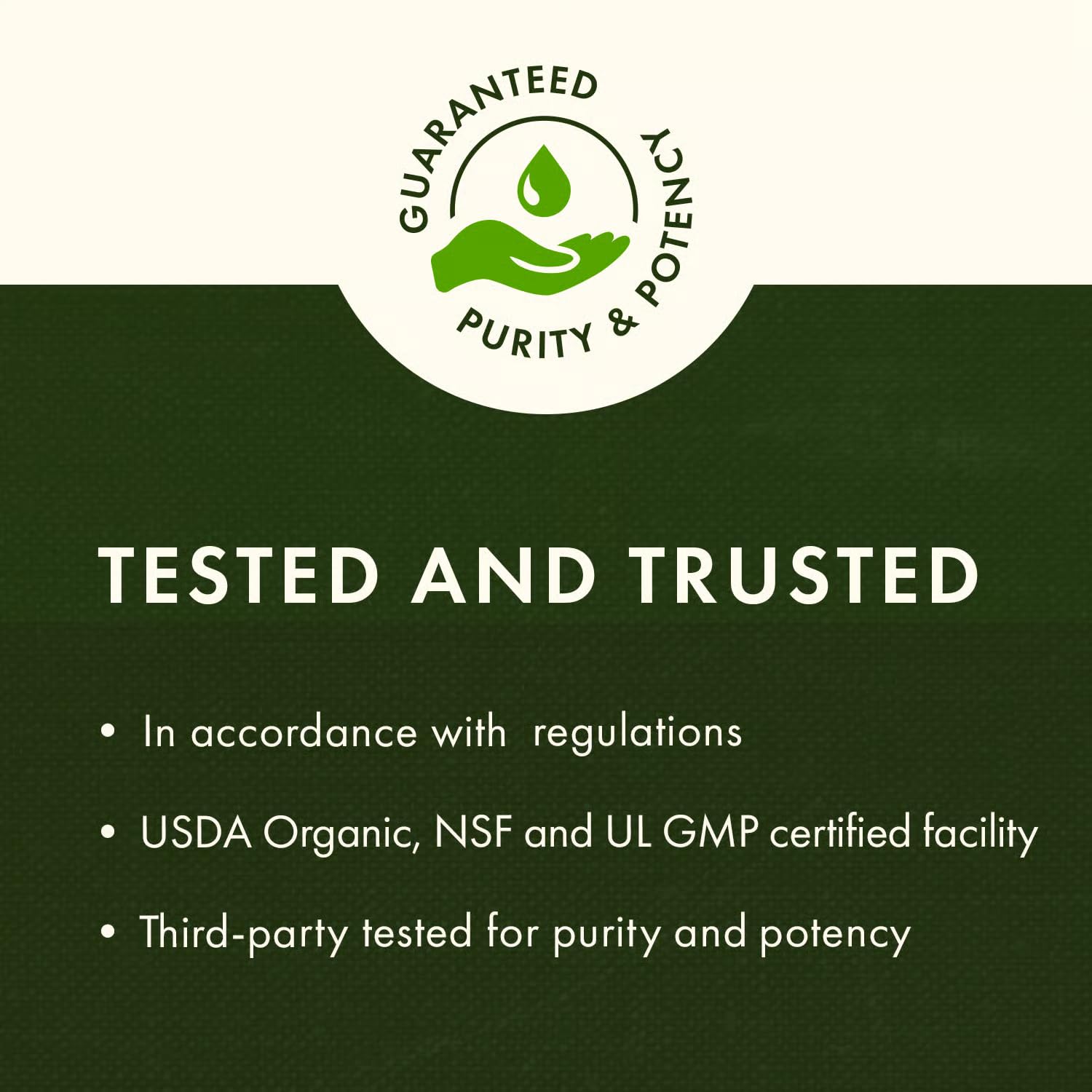 Détail de l’étiquette Swanson Acide glutamique 500 mg – ingrédients et notices.