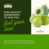 Swanson Amla Fruit: laboratoire indépendant vérifiant pureté et puissance des gélules.