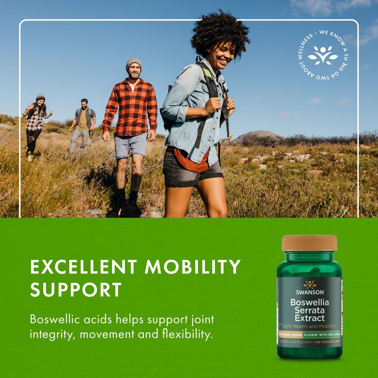 Swanson Boswellia Serrata Extrait, pack trois bouteilles, solution pratique pour longue utilisation.