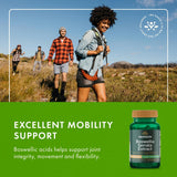 Swanson Boswellia Serrata Extrait, pack trois bouteilles, solution pratique pour longue utilisation.