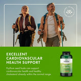 Swanson Psyllium gélules 610 mg, conteneur durable pour l’usage régulier.