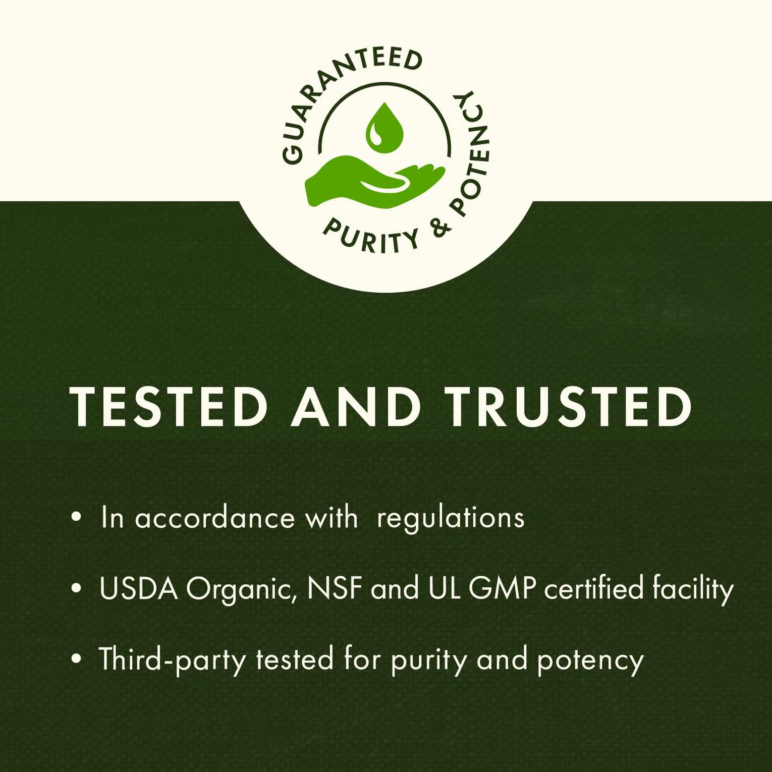 Ingrédients MagnaPower et magnésium chélaté, potentiel soutien nutritionnel.