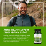 Gélules Swanson Ecklonia Cava Extract – texture homogène et dosage uniforme.