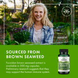 Swanson Fucoidan Extract, certificat GMP: contrôle qualité et traçabilité.