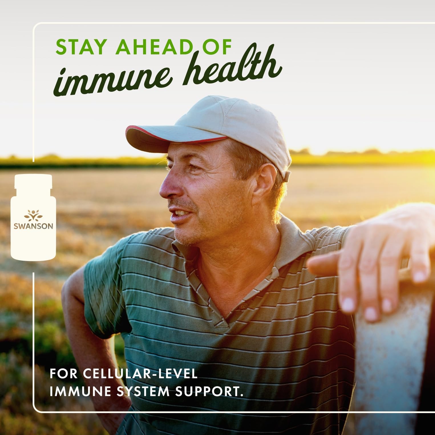 Gélules végétariennes Swanson Agaricus Blazei pour usage quotidien.