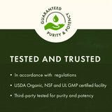 Swanson Ginkgo emballage: emballage bouteille pratique pour utilisation régulière