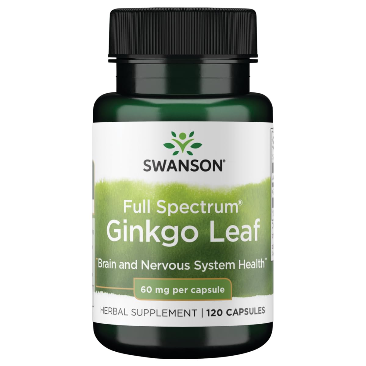 Swanson Ginkgo feuille dans la bouteille, soutien potentiel mémoire et circulation