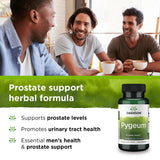 Swanson Hysope 450 mg – formule plein spectre avec ingrédients végétaux.