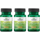 Swanson L. Plantarum bouteille – probiotiques faciles à prendre pour l'équilibre intestinal.