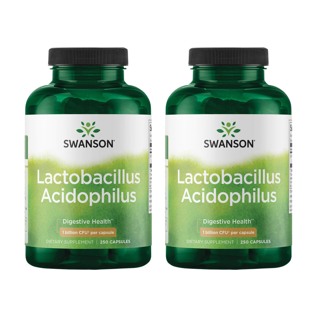 Swanson Lactobacillus Acidophilus : bouteille 2 pack, soutien digestif possible au quotidien.