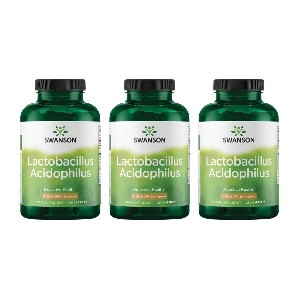 Swanson Lactobacillus Acidophilus — bouteille avec versement facile pour usage quotidien.