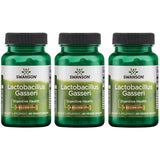 Swanson Lactobacillus Gasseri – bouteille de 60 capsules végétales, soutien digestif potentiel.
