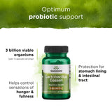 Swanson Lactobacillus Gasseri — contenu en capsules et confort digestif potentiel.