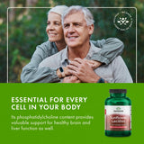 Swanson Lécithine Tournesol: fiche technique détaillant ingrédients et valeurs.