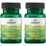 Swanson L. Plantarum – bouteille de gélules: soutien potentiel au confort digestif.