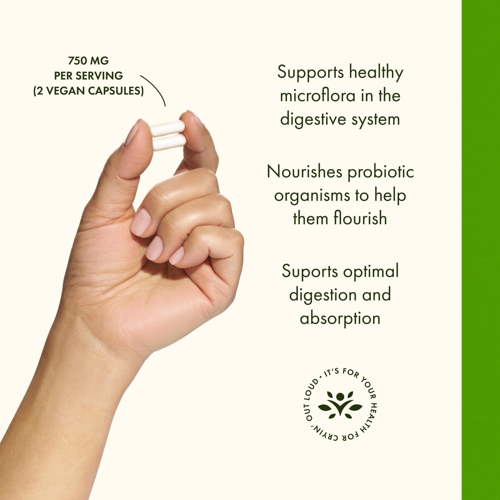 Swanson Prébiotiques Capsules: close-up sur gélules pour visualiser la texture et le matériel prébiotique.