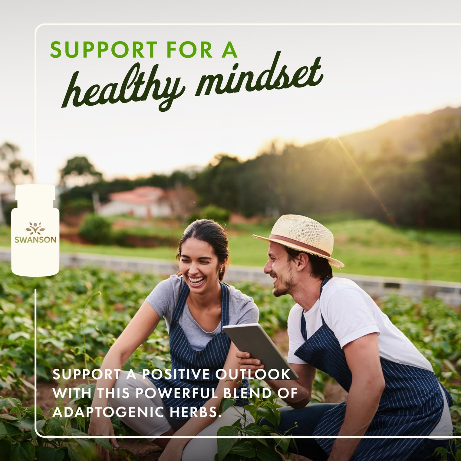 Swanson Rhodiola Ashwagandha Ginseng Complex – emballage: mélange d'adaptogènes pour l'humeur.