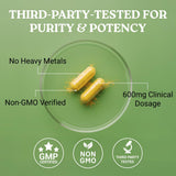 Vinaigre de pomme dans Swiss Activa+ Labs, ingrédient polyvalent