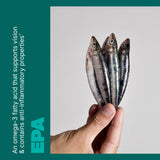 Swisse huile poisson sauvage bouchon: bouchon sécurisé et fermeture pratique.