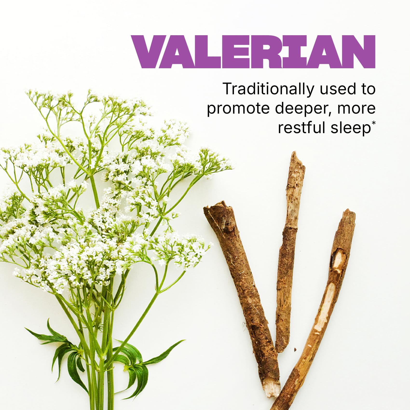 Swisse Sleep Valerian: ingrédients clés magnésium, réglisse et houblon pour relaxation.