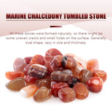 Swpeet agate marine rouge, pièces d’atelier — pour bijoux et projets artistiques.