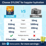 Syloni électrolytes pochette agrumes fruit de la passion format pratique voyage et sport