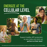 Gélules SMNutrition PQQ 40 mg, vue rapprochée des capsules.