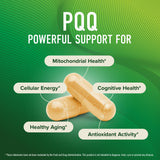 Étiquette vegan sans OGM sur SMNutrition PQQ 40 mg.