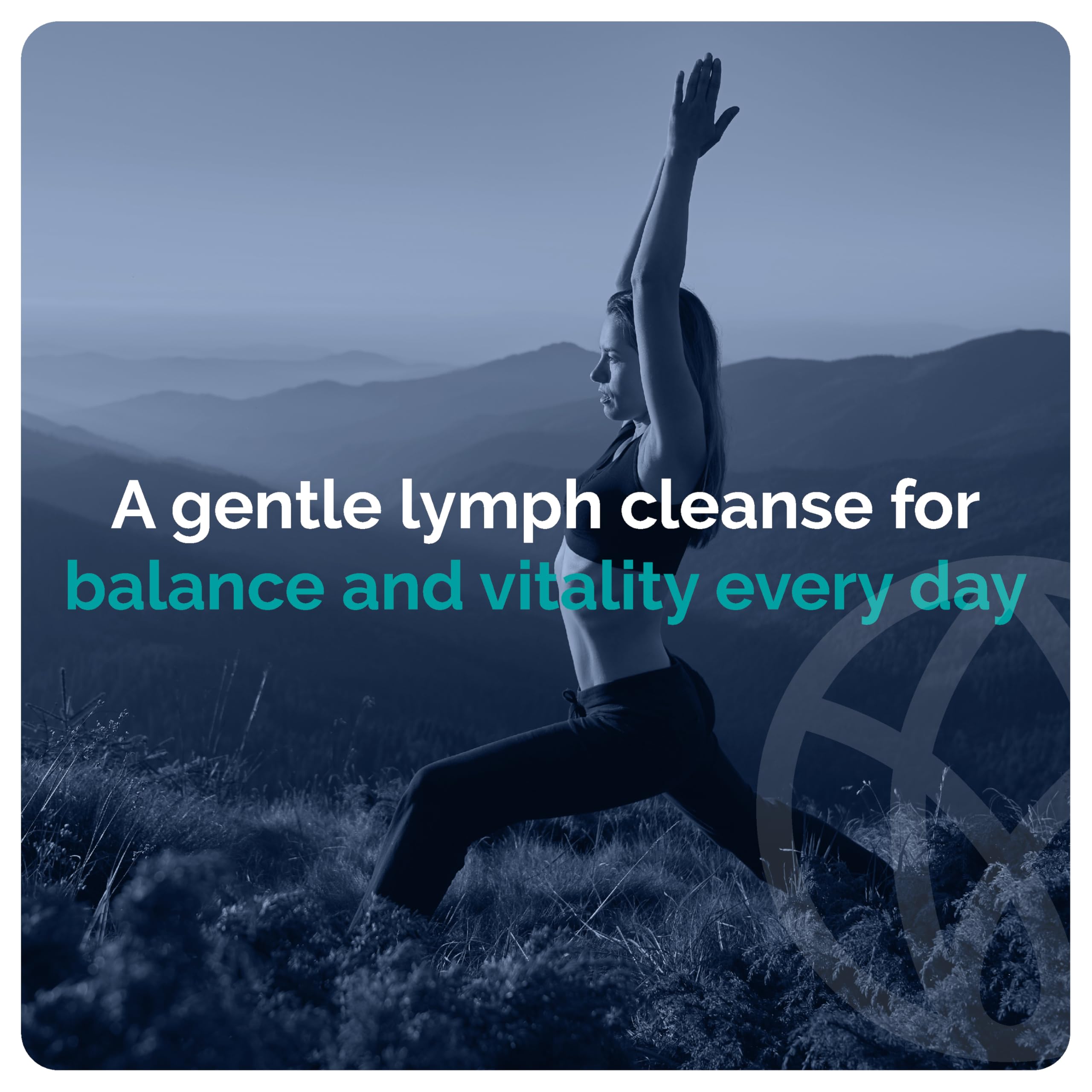 Capsules LymphaFlo SYNVITE sur fond naturel évoquant les ingrédients botaniques.