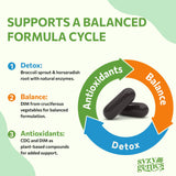 Emballage SYZY GENICS illustrant une routine detox et équilibre.