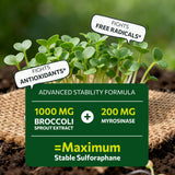 DIM et Calcium D-Glucarate en tablettes, duo pour détox et équilibre.