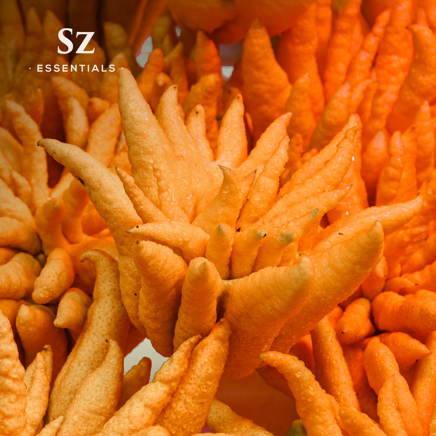 Sz Essentials diffusion: huile citronnée pour ambiance rafraîchissante et zen.