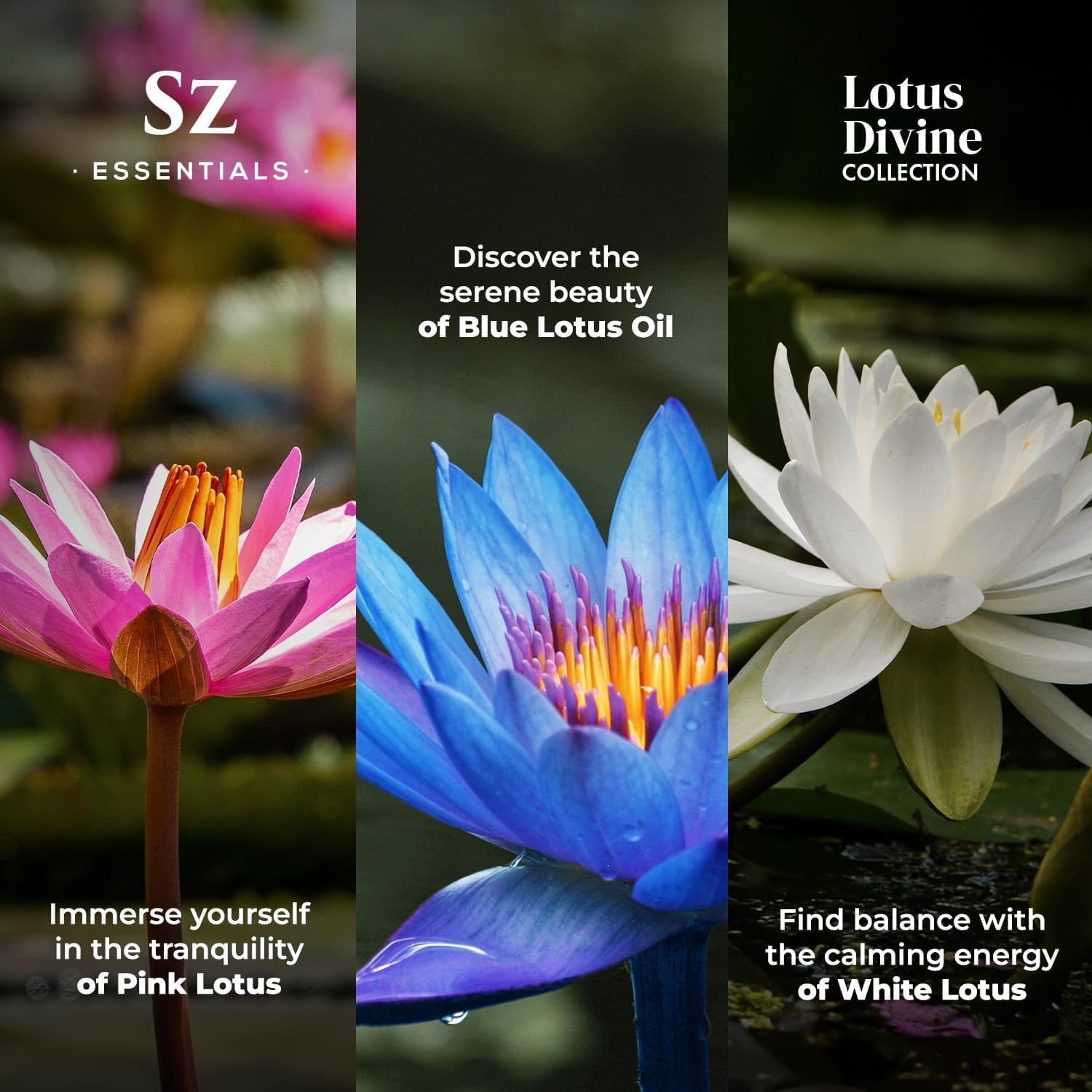 Sz Essentials Lotus Blanc Flacon - fragrance pure et délicate pour l'apaisement.