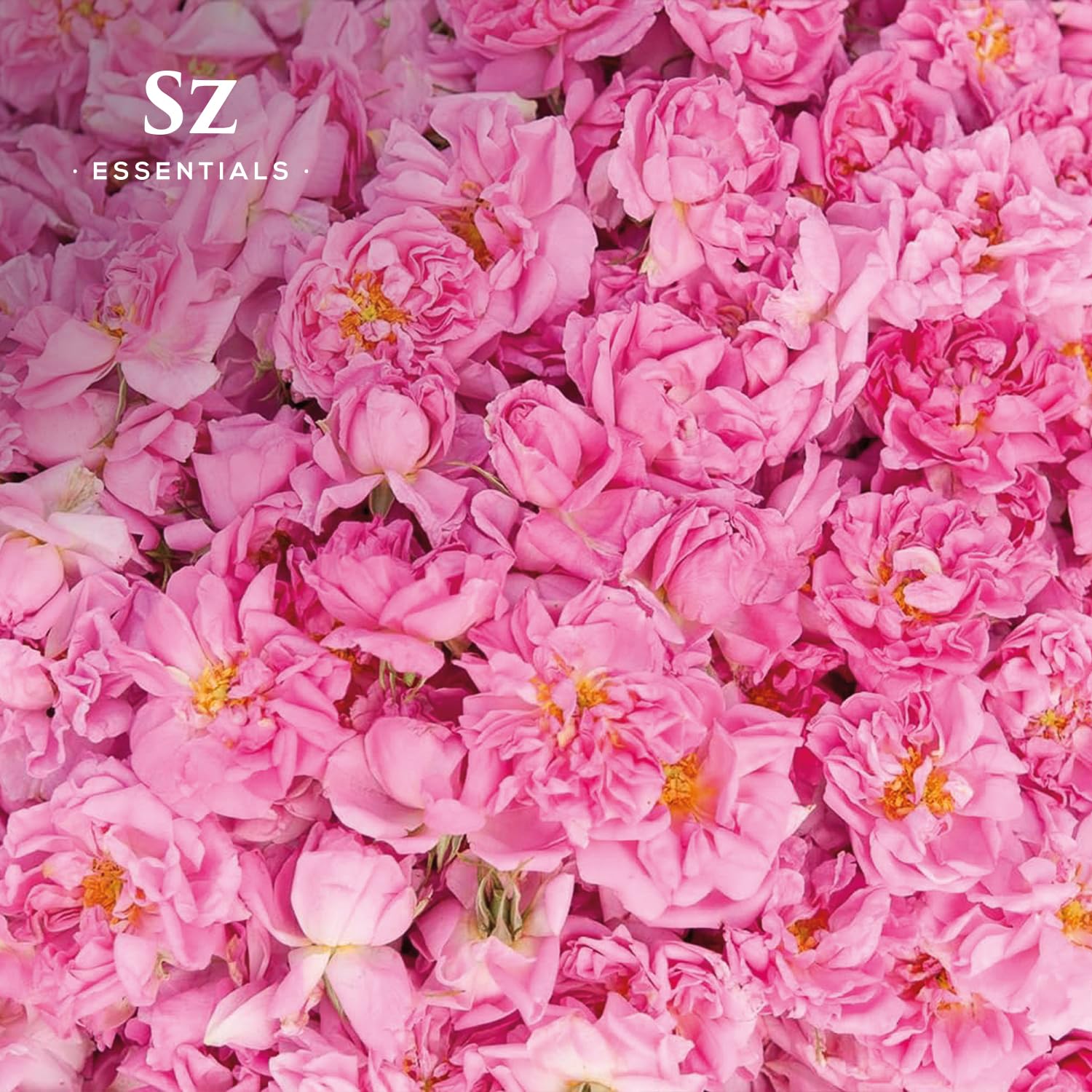 Sz Essentials Rose Absolute – ambiance romantique dans la chambre grâce au parfum