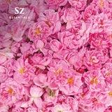 Sz Essentials Rose Absolute – ambiance romantique dans la chambre grâce au parfum