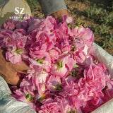 Sz Essentials Rose Absolute – notes florales dominantes inspirant calme et élégance